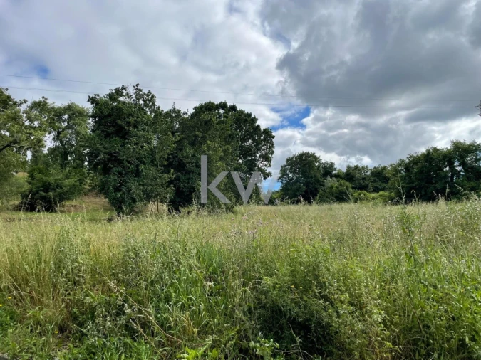 Terreno para Venda em Taveiro, Ameal e Arzila Foto 4