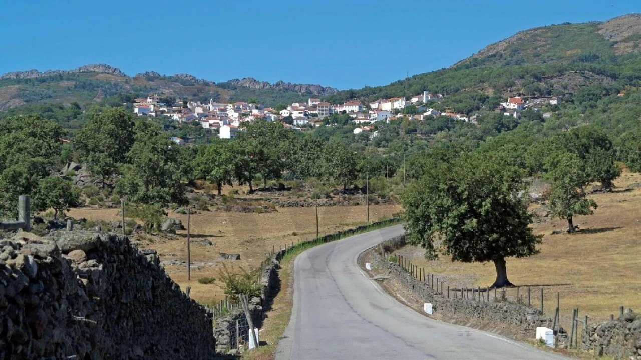 Moradia T3 para Venda em Ribeira de Nisa e Carreiras Foto 12