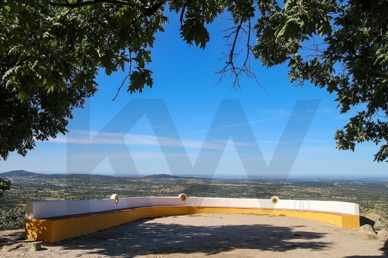 Moradia T3 para Venda em Ribeira de Nisa e Carreiras Foto 9