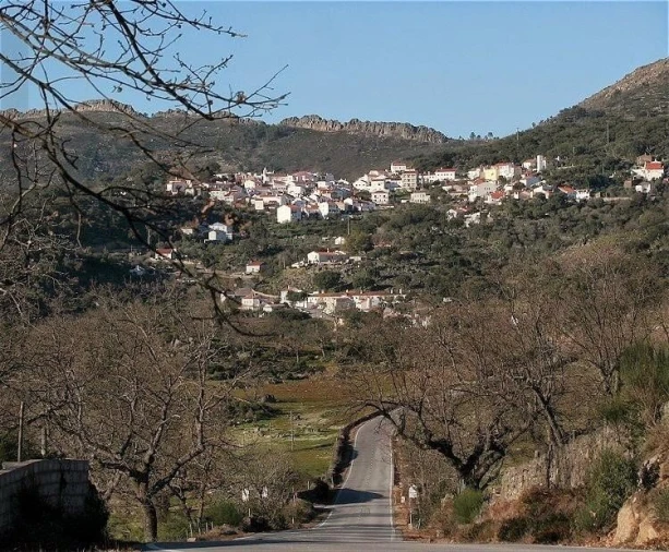 Moradia T3 para Venda em Ribeira de Nisa e Carreiras Foto 13