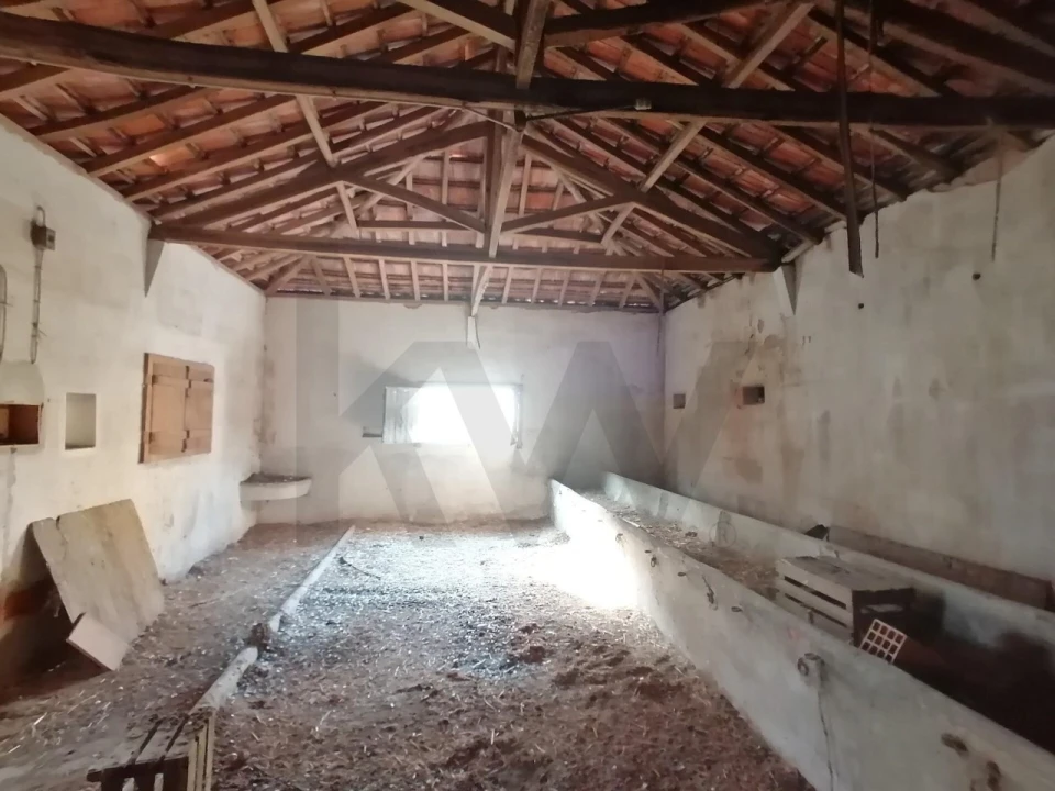 Terreno para Venda em Romeira e Várzea Foto 2