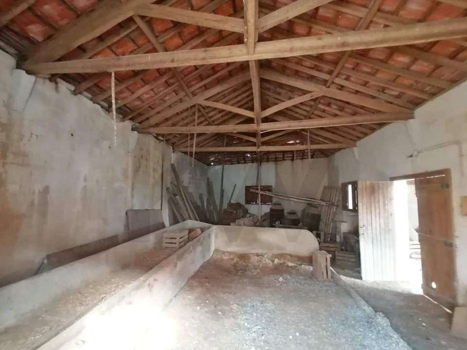 Terreno para Venda em Romeira e Várzea Foto 5