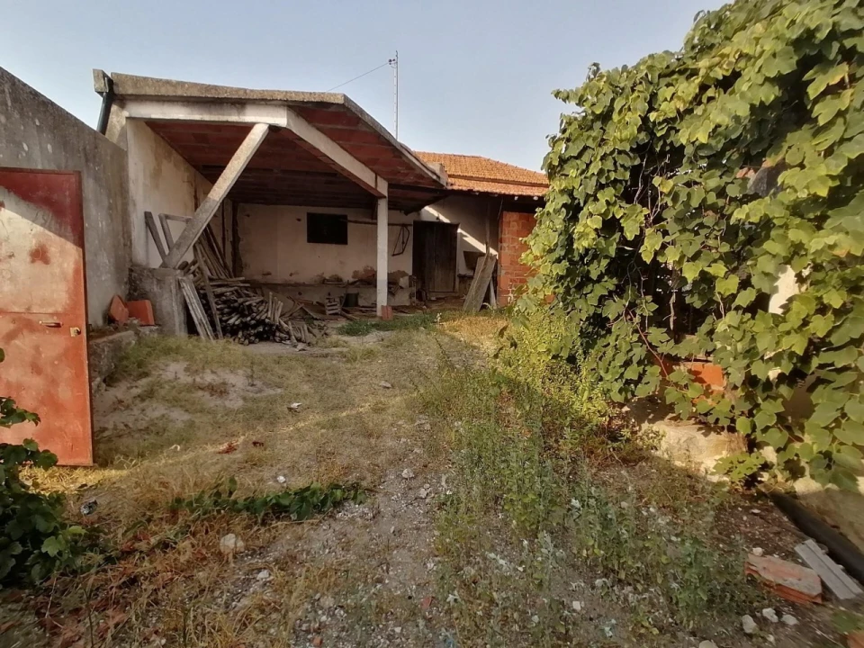 Terreno para Venda em Romeira e Várzea Foto 9