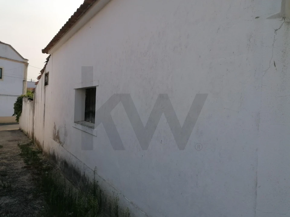 Terreno para Venda em Romeira e Várzea Foto 13