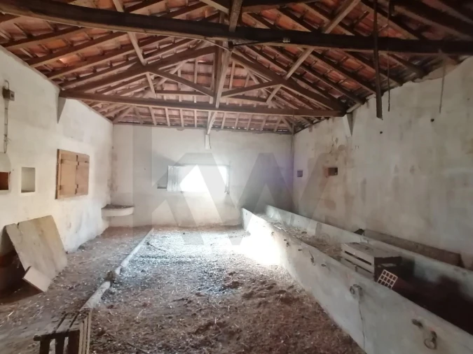 Terreno para Venda em Romeira e Várzea Foto 3