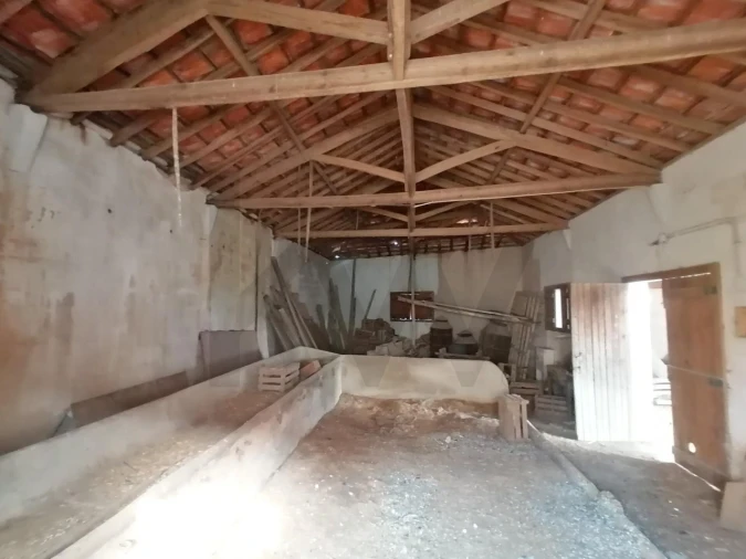 Terreno para Venda em Romeira e Várzea Foto 6