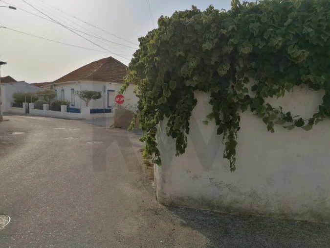 Terreno para Venda em Romeira e Várzea Foto 11