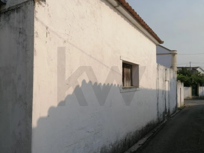 Terreno para Venda em Romeira e Várzea Foto 12