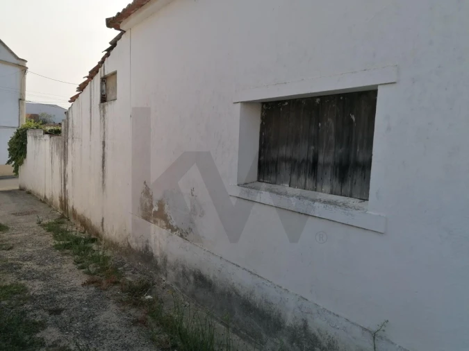 Terreno para Venda em Romeira e Várzea Foto 14