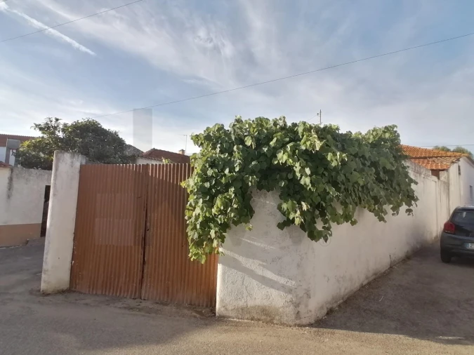 Terreno para Venda em Romeira e Várzea Foto 19