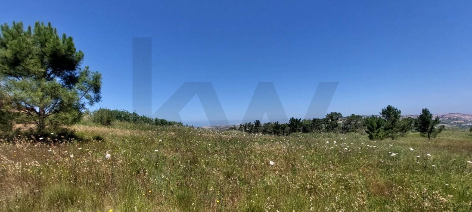 Terreno para Venda em Santo Isidoro Foto 4