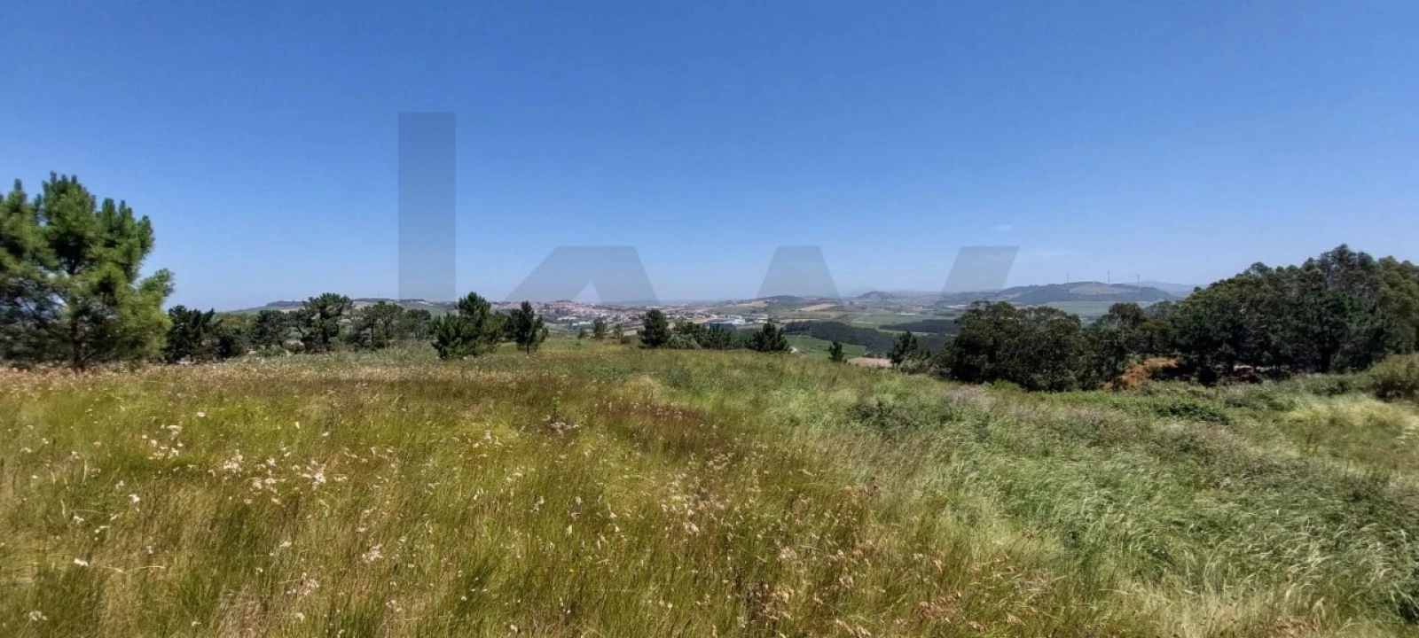 Terreno para Venda em Santo Isidoro Foto 8