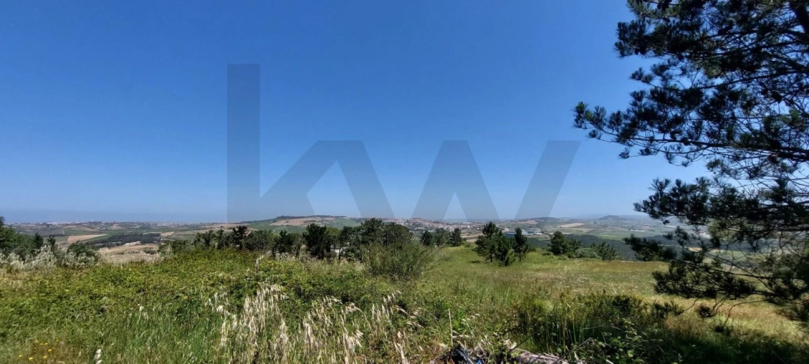 Terreno para Venda em Santo Isidoro Foto 9