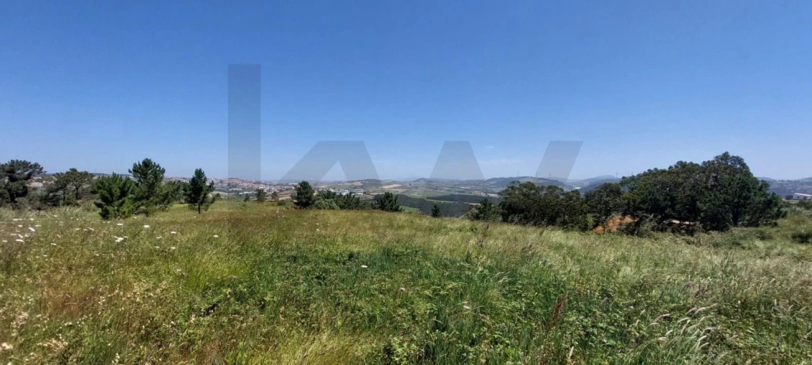 Terreno para Venda em Santo Isidoro Foto 10