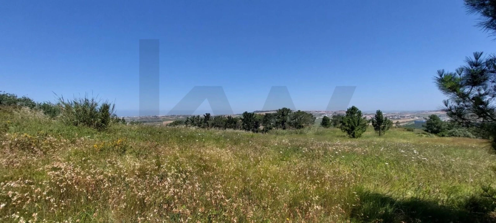 Terreno para Venda em Santo Isidoro Foto 11