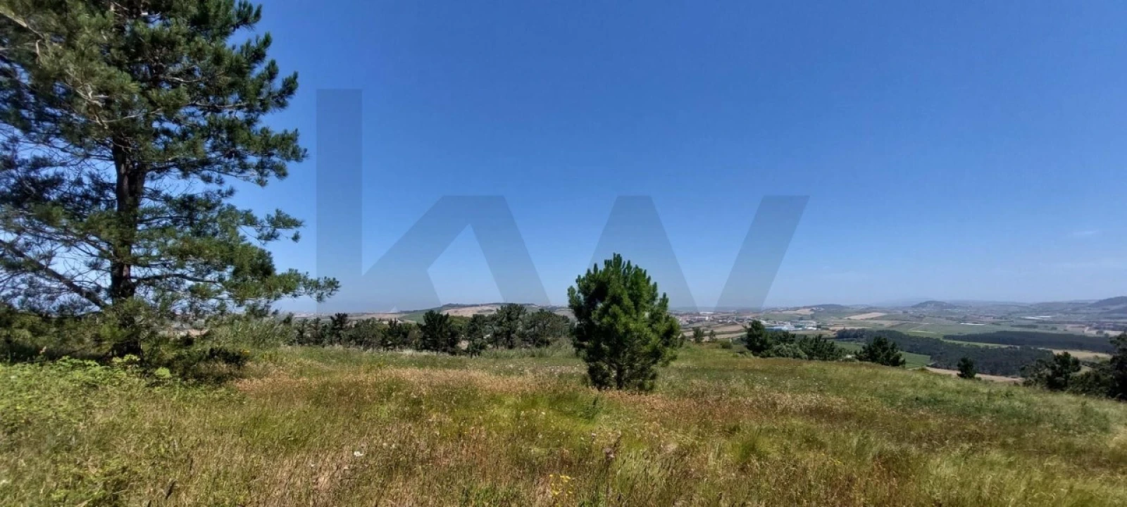 Terreno para Venda em Santo Isidoro Foto 15