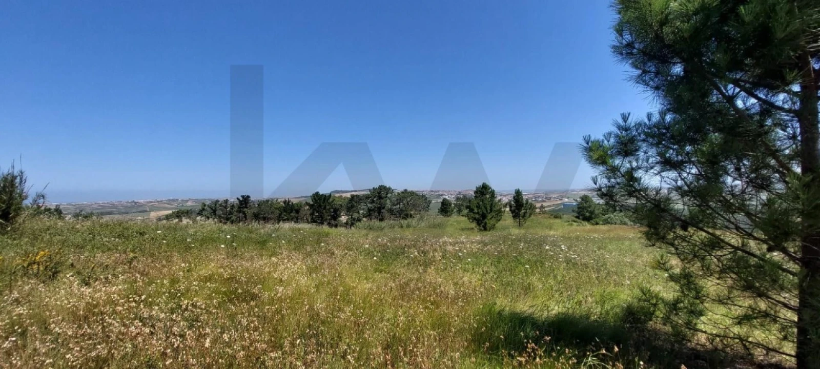 Terreno para Venda em Santo Isidoro Foto 16