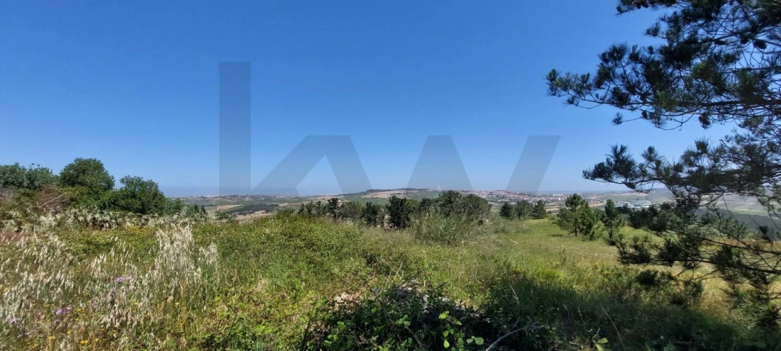 Terreno para Venda em Santo Isidoro Foto 17