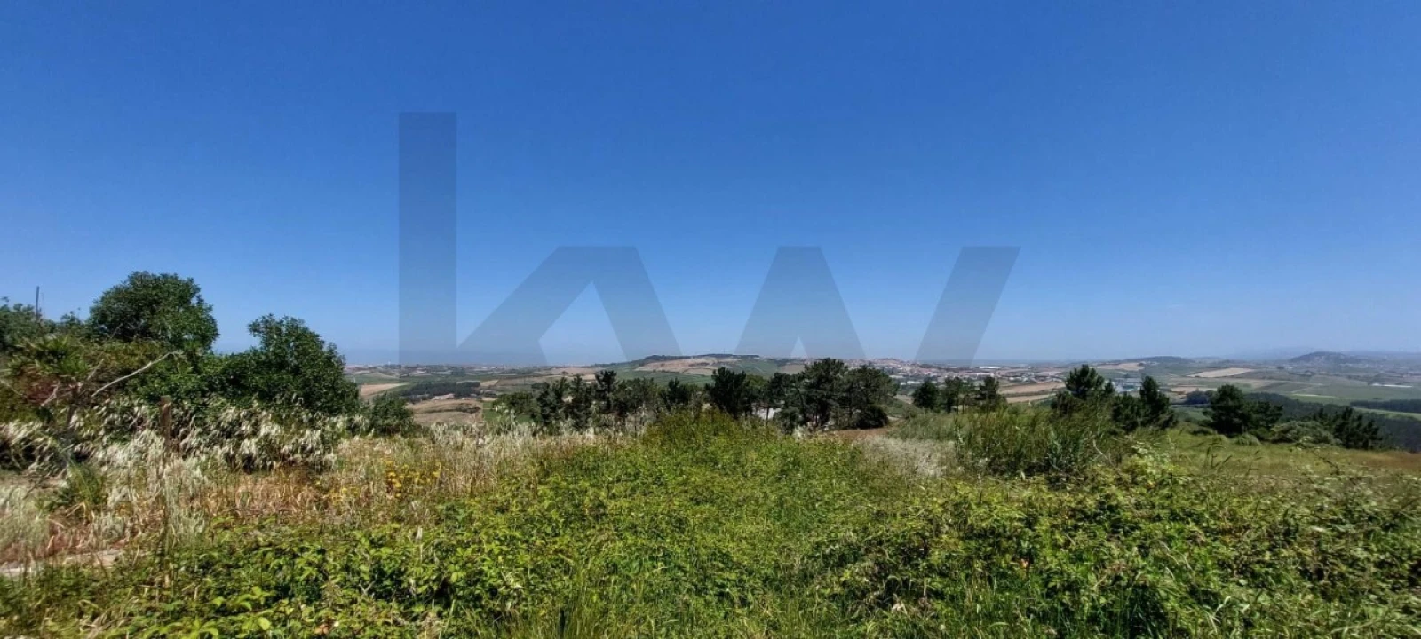 Terreno para Venda em Santo Isidoro Foto 13