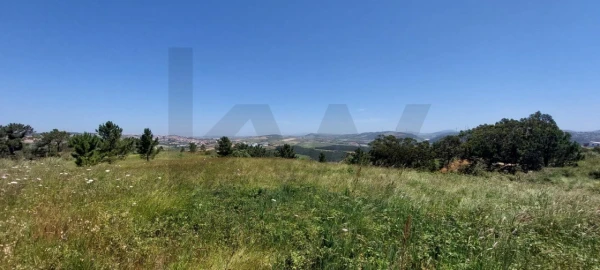 Terreno para Venda em Santo Isidoro