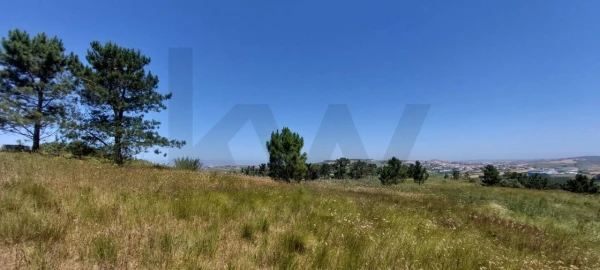 Terreno para Venda em Santo Isidoro
