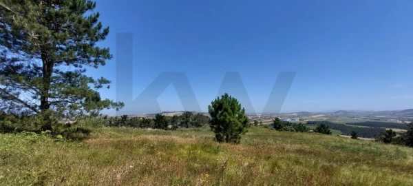 Terreno para Venda em Santo Isidoro
