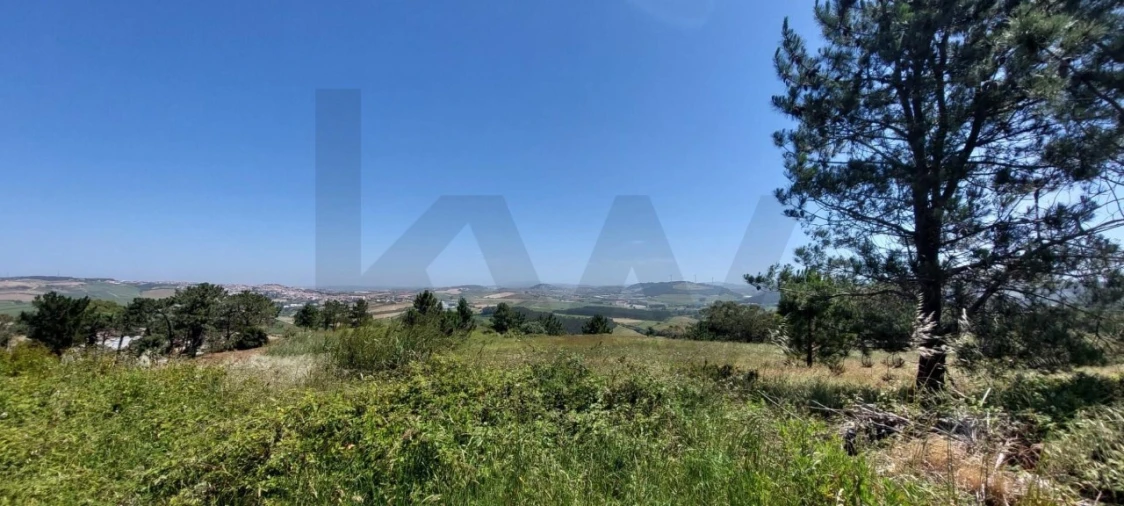 Terreno para Venda em Santo Isidoro Foto 5