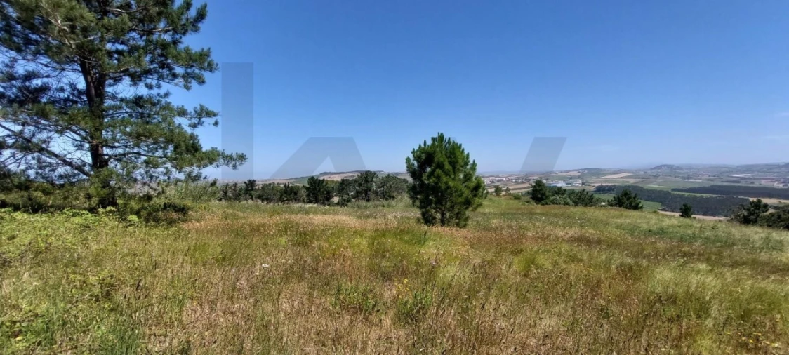 Terreno para Venda em Santo Isidoro Foto 6