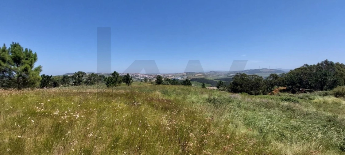 Terreno para Venda em Santo Isidoro Foto 8