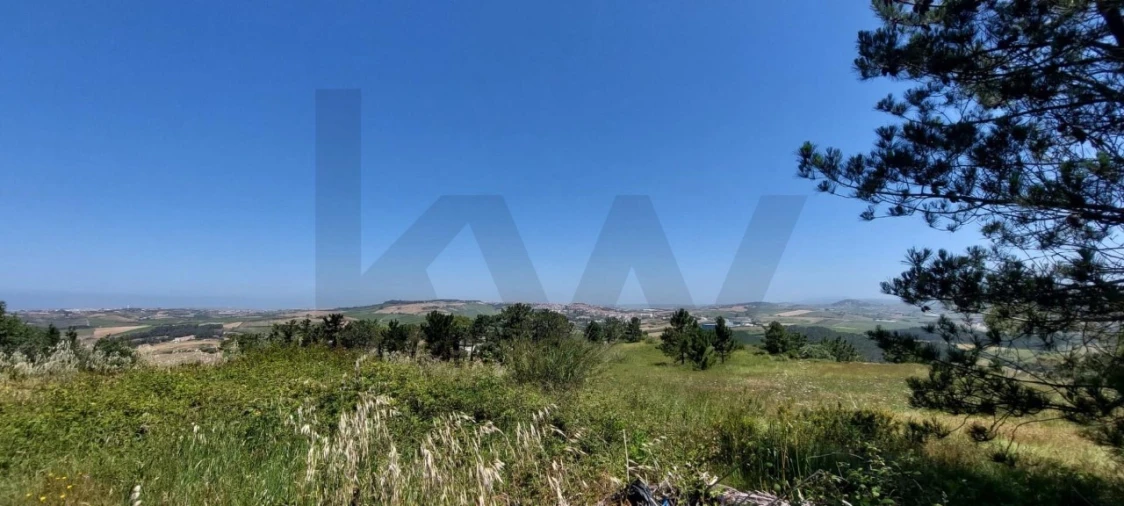 Terreno para Venda em Santo Isidoro Foto 9