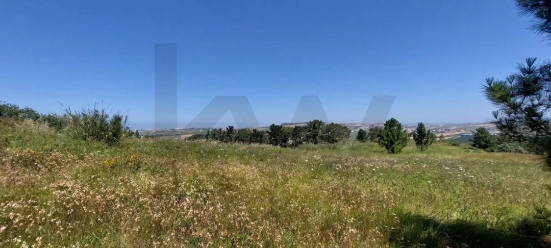 Terreno para Venda em Santo Isidoro Foto 11