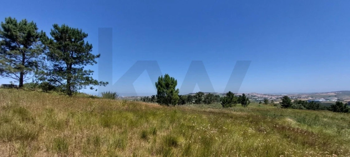 Terreno para Venda em Santo Isidoro Foto 12