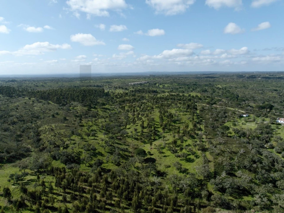 Terreno para Venda em Grândola e Santa Margarida da Serra Foto 1