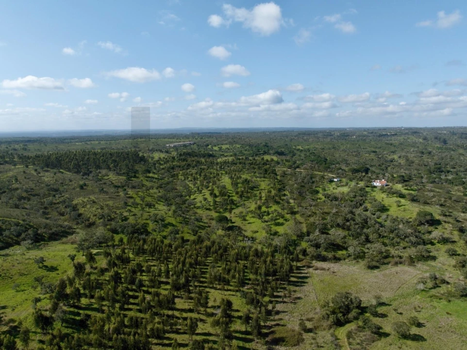 Terreno para Venda em Grândola e Santa Margarida da Serra Foto 2