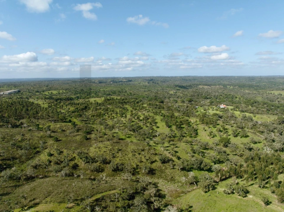 Terreno para Venda em Grândola e Santa Margarida da Serra Foto 3