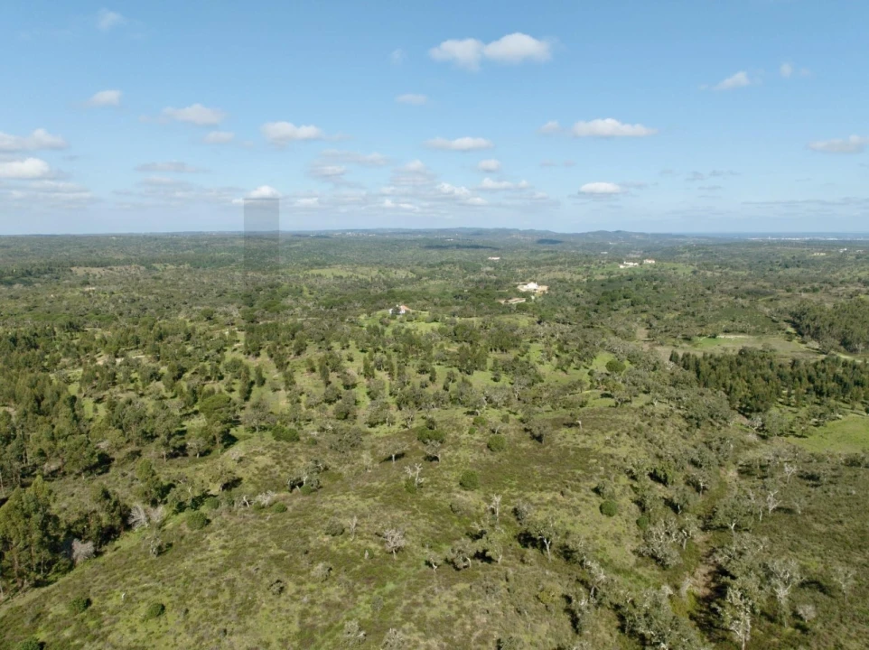 Terreno para Venda em Grândola e Santa Margarida da Serra Foto 4