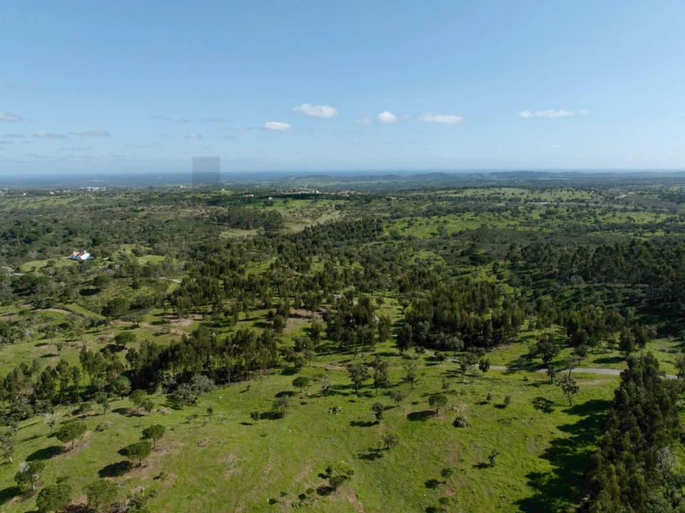 Terreno para Venda em Grândola e Santa Margarida da Serra Foto 7