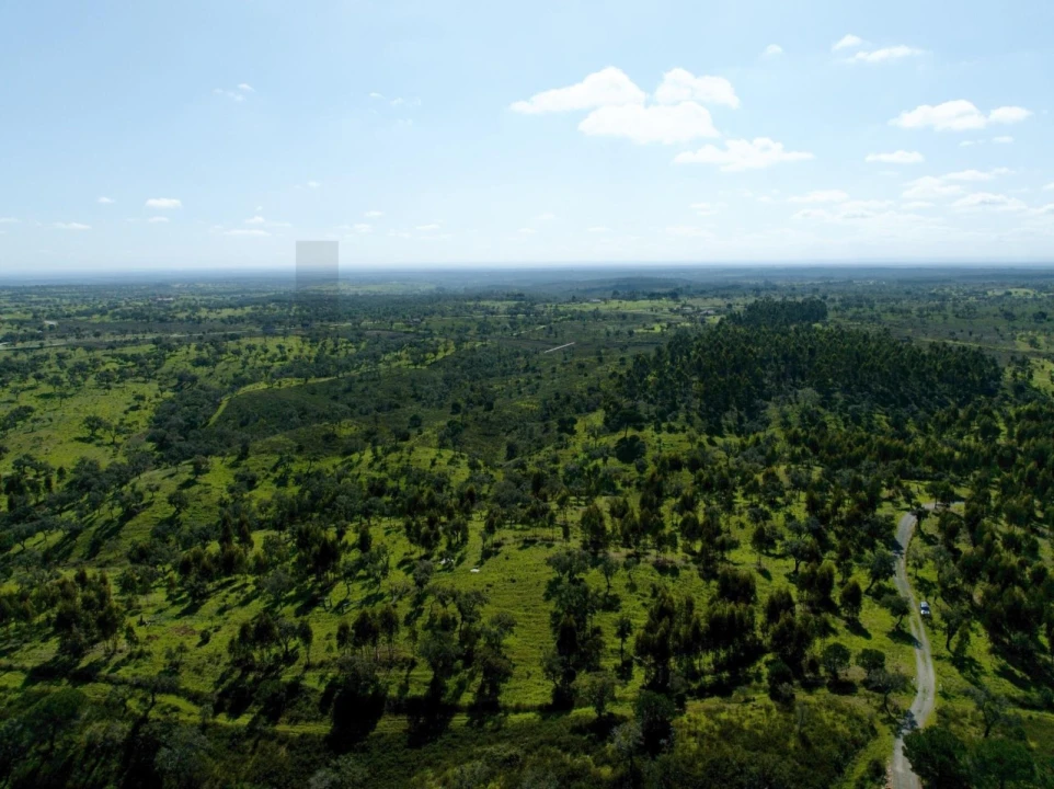 Terreno para Venda em Grândola e Santa Margarida da Serra Foto 9