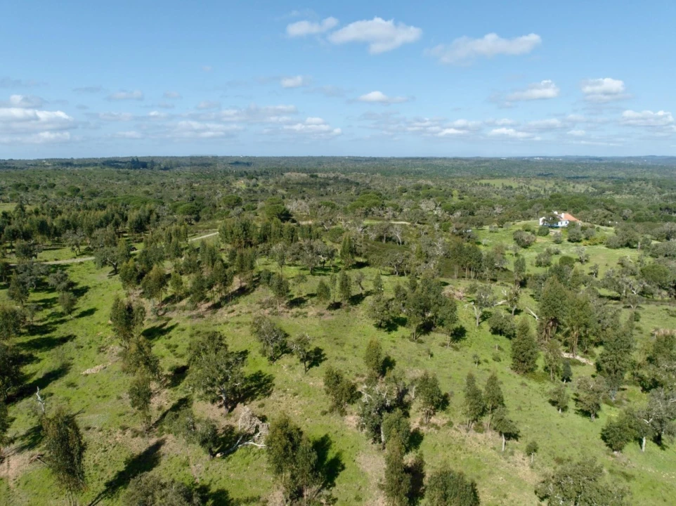 Terreno para Venda em Grândola e Santa Margarida da Serra Foto 11