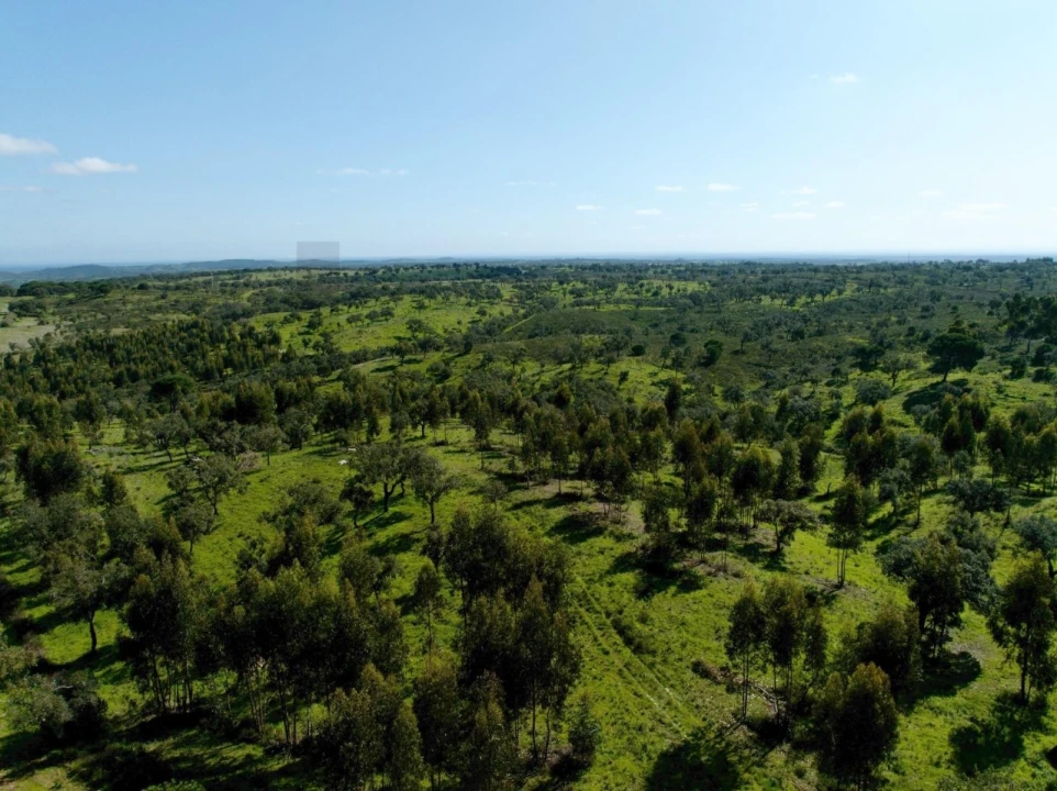 Terreno para Venda em Grândola e Santa Margarida da Serra Foto 12