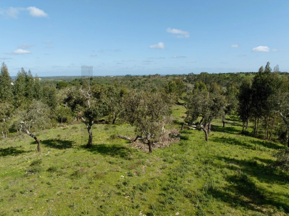 Terreno para Venda em Grândola e Santa Margarida da Serra Foto 13