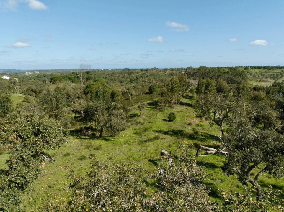 Terreno para Venda em Grândola e Santa Margarida da Serra Foto 14
