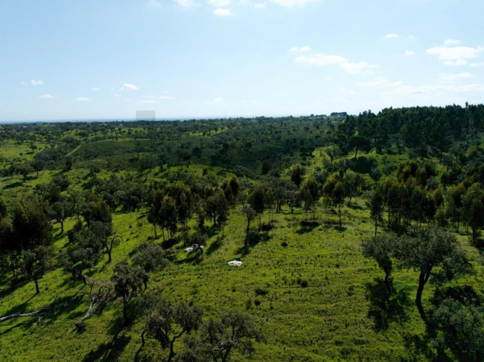 Terreno para Venda em Grândola e Santa Margarida da Serra Foto 17