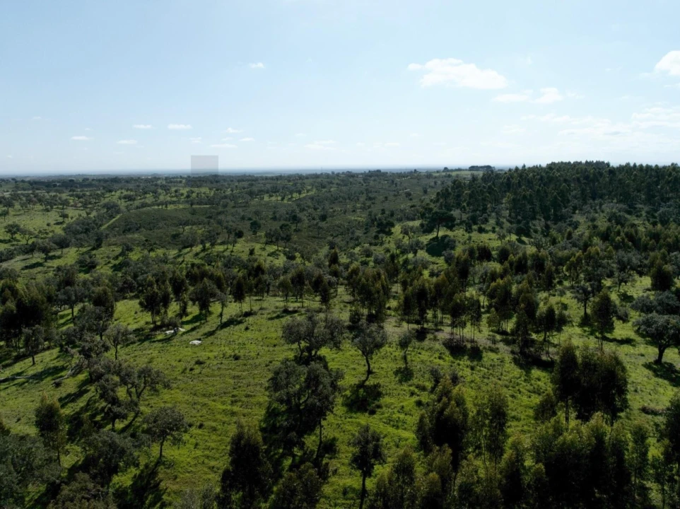 Terreno para Venda em Grândola e Santa Margarida da Serra Foto 23
