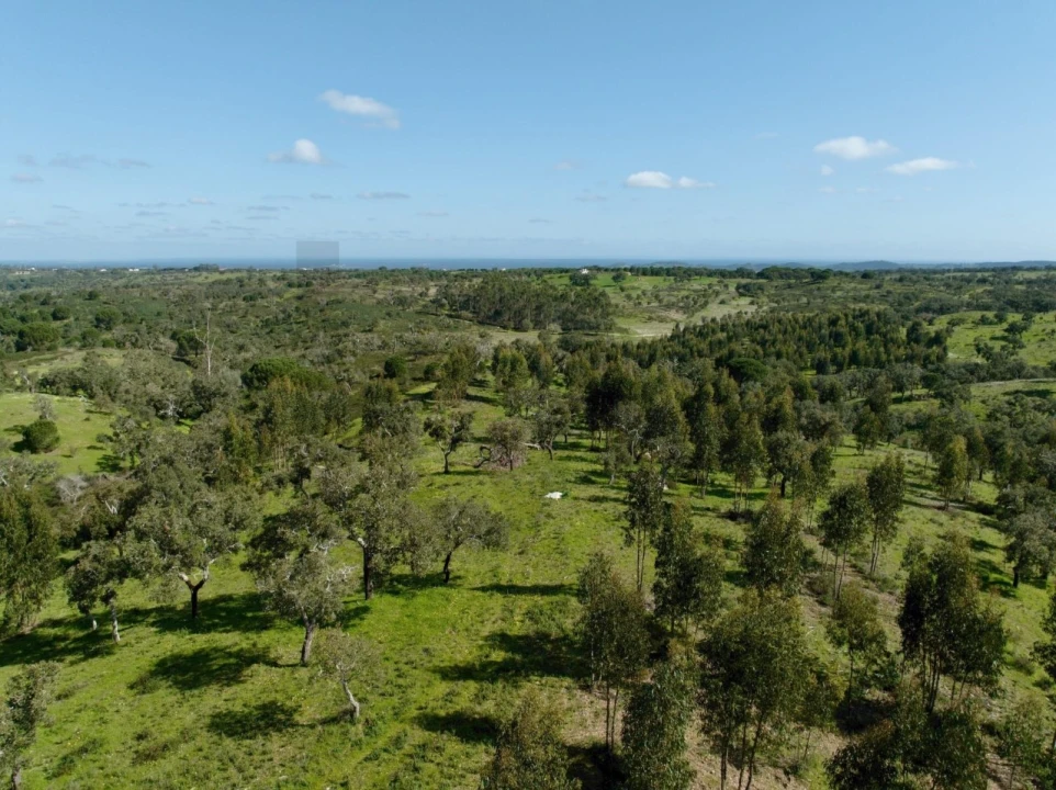 Terreno para Venda em Grândola e Santa Margarida da Serra Foto 24