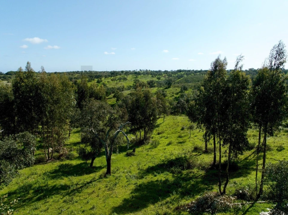 Terreno para Venda em Grândola e Santa Margarida da Serra Foto 25