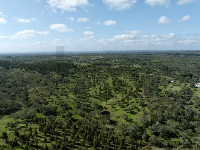 Terreno para Venda em Grândola e Santa Margarida da Serra Foto 1