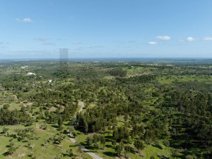 Terreno para Venda em Grândola e Santa Margarida da Serra Foto 5