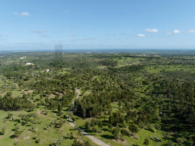 Terreno para Venda em Grândola e Santa Margarida da Serra Foto 6