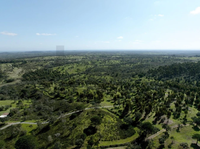 Terreno para Venda em Grândola e Santa Margarida da Serra Foto 8